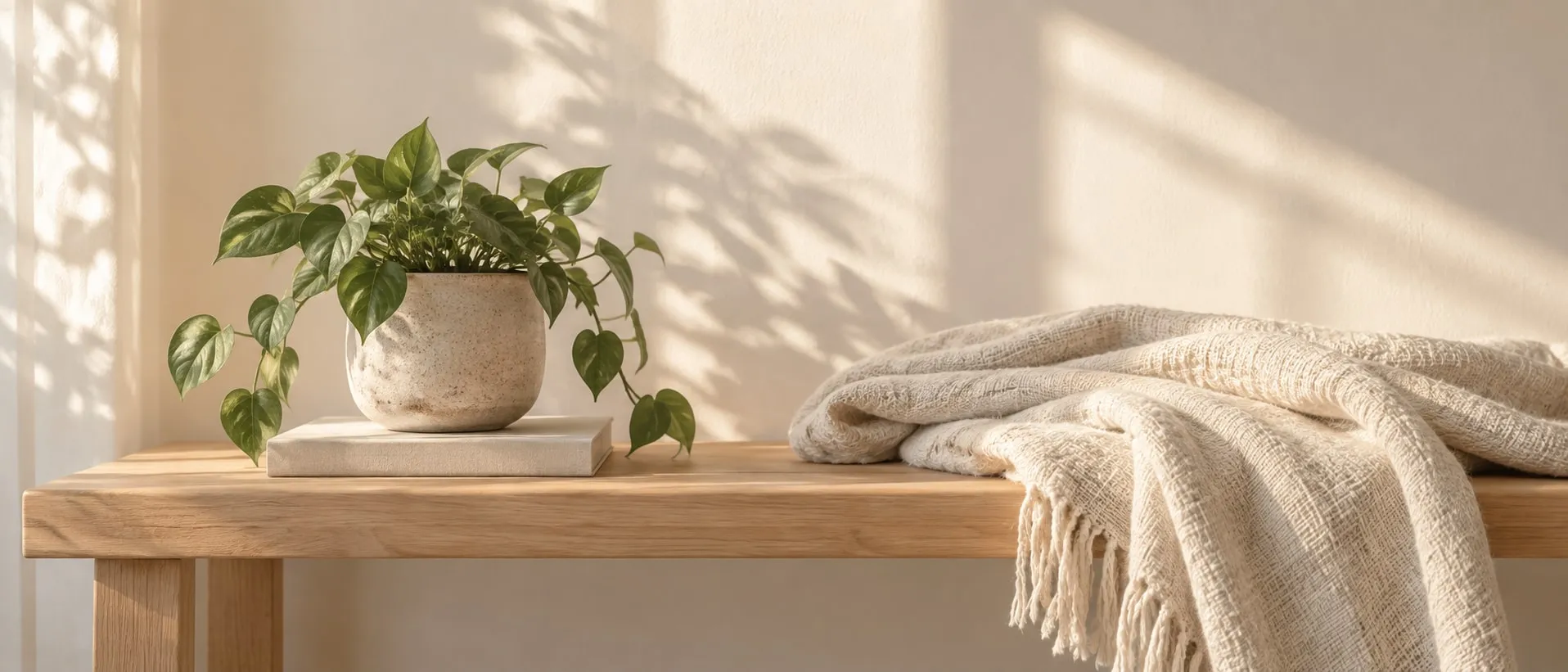 A calm, softly lit space with a plant and warm natural light, suggesting whole-person care